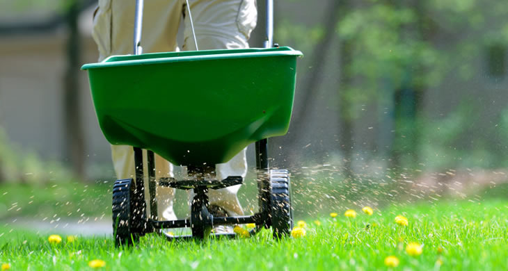 How Often Should I Fertilize My Lawn - The Should